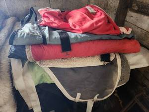 lot 38 image: Lot of (5) Horse Blankets