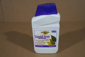 lot 140 image: Garden Rich Liquid Iron 32fl oz