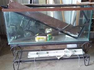 lot 352 image: Fish Tank and Accessories. 55 Gal.