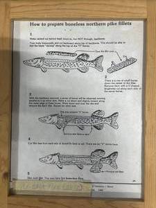 lot 47 image: Cleaning Northern Fish Diagram