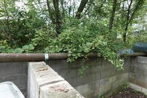 lot 58 image: Steel Grooved Schedule 40 Pipe - 4 x 21