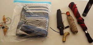 lot 85 image: Cane Handle-Blanket-Umbrellas