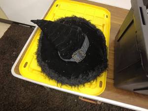 lot 56 image: Halloween Decoration Lot Including Lights, Sign, and Witch Hat