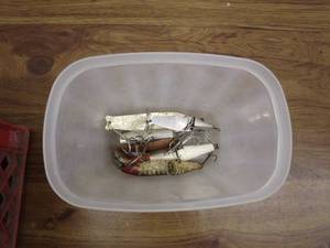 lot 265 image: Lot of Fishing and Marine Equipment Including Reels, Line, and Lures