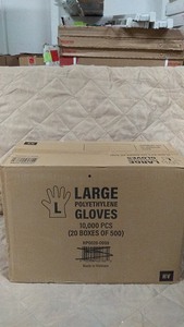 lot 168 image: Large Polyethylene Gloves - 10,000 pcs (20 boxes of 500)