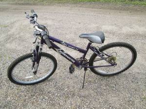 lot 171 image: Roadmaster bike