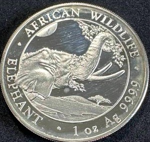 1oz .999 Silver Round