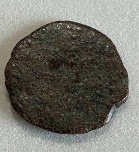 Roman Coin (found during dig)