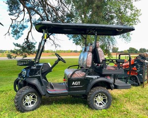 lot 28 image: Golf Cart AGT-GF(Y)4.0