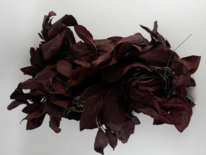 lot 203 image: Group of Maroon Leafy Garland