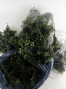 lot 247 image: 2 Large Bags of 8 Boxwood Pick x10 - Mixed Green