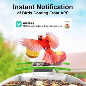 Birdsnap PAV Smart Bird Feeder with Camera