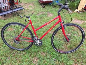 lot 33 image: Womens Specialized Crossroads Cruz Bicycle