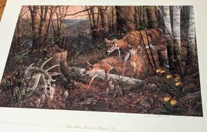 lot 243 image: Four Unframed Deer Prints