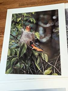 lot 244 image: Assorted Unframed Bird Prints