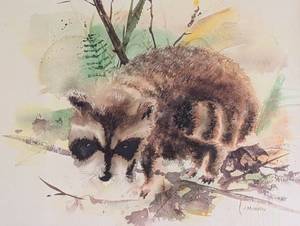 lot 212 image: Framed Raccoon Watercolor Painting by J. McWethy