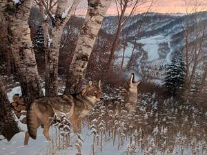 lot 220 image: Framed Wolves Print by Michael Sieve