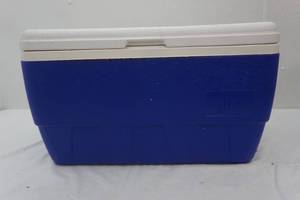 lot 36 image: cooler