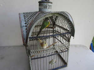 Bird Cage