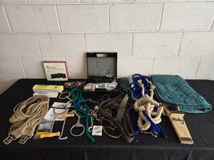 lot 264 image: Lot of Equine Supplies and Western Gear