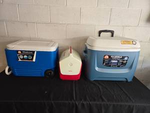 lot 396 image: Lot of 3 Igloo Coolers