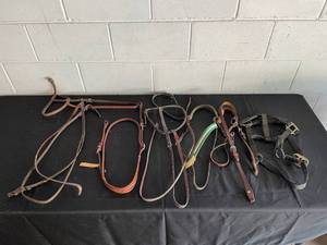 lot 8 image: Lot of Assorted Leather and Nylon Horse Tack