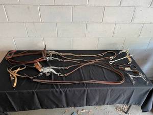 lot 9 image: Lot of Horse Bridles and Bits