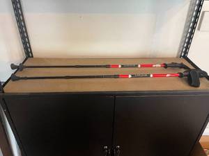 lot 266 image: Expert Performance Walking Poles - Set of 2