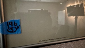 lot 196 image: 3 Craig Blacklock Art Pieces called Minnesota Wild