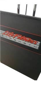 Life Fitness Low Back Extension