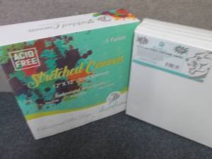 Set of 5 Daveliou 12 x12 inch Stret...