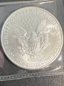 2009 AMERICAN SILVER EAGLE 1 TROY OZ .999 FINE SILVER