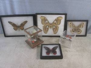 lot 119 image: (BSB) Butterfly Collection...
