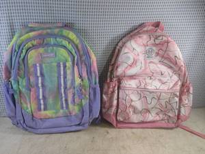 lot 63 image: (EW3) 2 Backpacks - Eastsport and J...