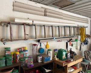 lot 237 image: Extension Ladder
