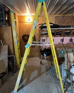 lot 202 image: Fiberglass 8 Heavy Duty Ladder