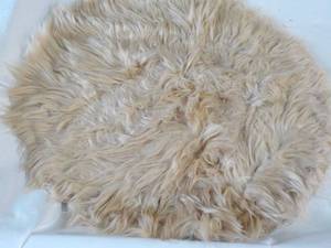 lot 47 image: 24 New Diameter Roung Rug machine...