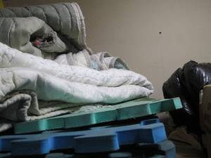 lot 90 image: Lot of Quilted Moving Blankets