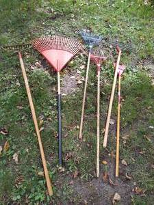 lot 123 image: (6) Long Handled Yard Tools - Rakes