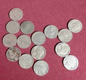 lot 269 image: (15) Buffalo Nickels