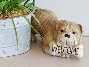 (2) Home Decorative Items