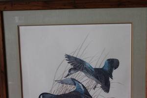 lot 42 image: Framed Print of Birds in Flight by Charles Murphy