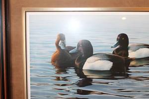 lot 43 image: Tranquil Trio - Bluebills by Phil Scholer Framed Print