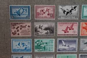 lot 46 image: Framed Collection of Migratory Bird Hunting Stamps