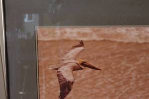 lot 47 image: William Plante Signed Pelican Artwork in Metal Frame