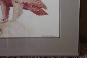 lot 48 image: Framed Eagle Print Signed by Artist