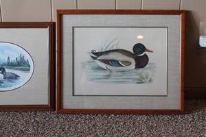 lot 55 image: Lot of 4 Framed Waterfowl and Duck Art Prints