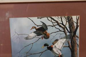 lot 60 image: Framed Artwork of Ducks by Maass