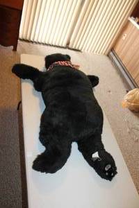 lot 88 image: Large DITZ Designs Plush Bear