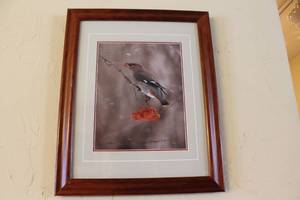 lot 202 image: Framed Bird Photograph by Thomas B. Mangelson